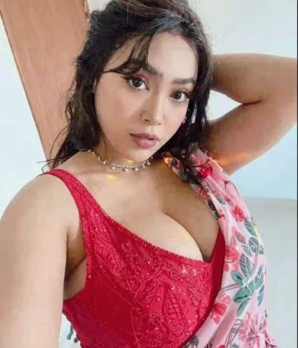 Housewife Escort in Aerocity